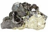 Sphalerite and Pyrite Crystal Association - Peru #72603-1